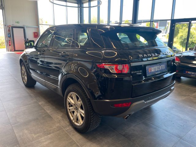 Land Rover Range Rover Evoque Pure Aut. *LEDER*MERIDIAN*