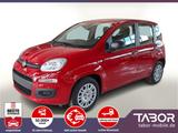 Fiat Panda MHEV 4-Sitzer DigCo Temp Klima UVP-30%* - Fiat Panda: Sitzer