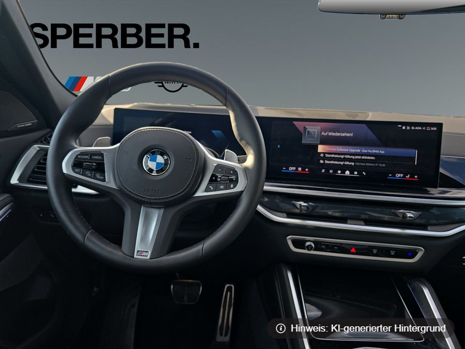 BMW X6 - Bild 16