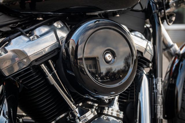 Fahrzeugabbildung Harley-Davidson SOFTAIL STANDARD FXST - JEKILL&HYDE - SPEICHEN