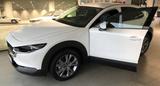 Mazda CX-30 2.0 e-SKYACTIV-G M-Hybrid 150 Selection - Mazda CX-30 von privat