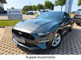 Ford Mustang 2.3Eco LED Schalter R-CAM AllwetterR. - gebrauchte Ford Mustang aus dem Jahr 2019