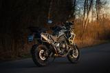 Triumph Tiger 1200 Rallye Pro