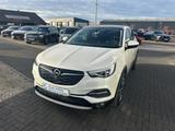 Opel Grandland X Innovation Pano Leder - Opel Grandland (X): Weiß