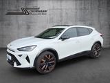 Cupra Formentor VZ 4Drive 2.0 TSI 245kW DSG Pano AHK - Cupra Formentor Tageszulassungen