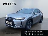 Lexus UX 250h Executive Line *Bi-LED*Leder*HUD*GSD*Nav - Lexus Gebrauchtwagen von 2022