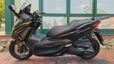 Honda Forza 350 Smart Top Case/Nur 1.300KM/Top Zust. - HONDA FORZA 300