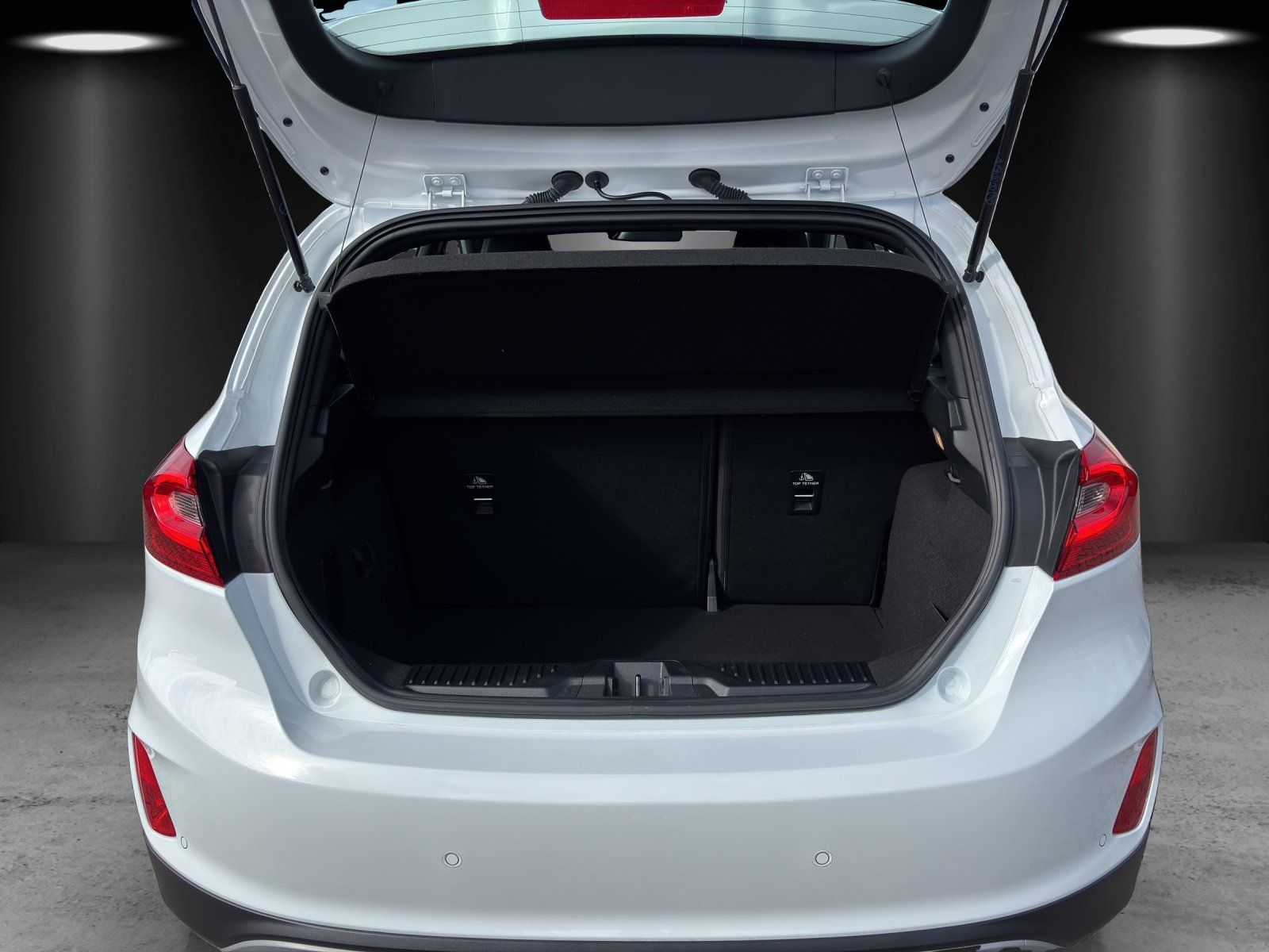 Fahrzeugabbildung Ford Fiesta 1.0 EB Active Plus S/S Aut. RFK Navi SH