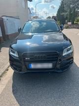 Audi SQ5 Individual Ausstattung Competitio... - Audi SQ5 in Mannheim
