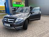 Mercedes-Benz GLK 220 CDI 4MATIC BlueEFFICIENCY  - Mercedes-Benz GLK-Klasse in Dortmund