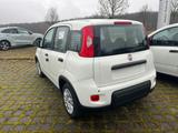Fiat Panda Pandina Hybrid 1.0 GSE / Klima, Tempomat,  - Fiat Panda in Chemnitz