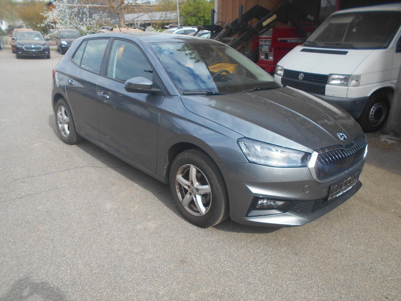 Skoda Fabia Selection
