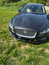 Jaguar XJ X351  3.0 V6  - Jaguar XJ XJ6