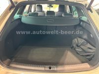 Cupra Leon - Vorschau Bild 24