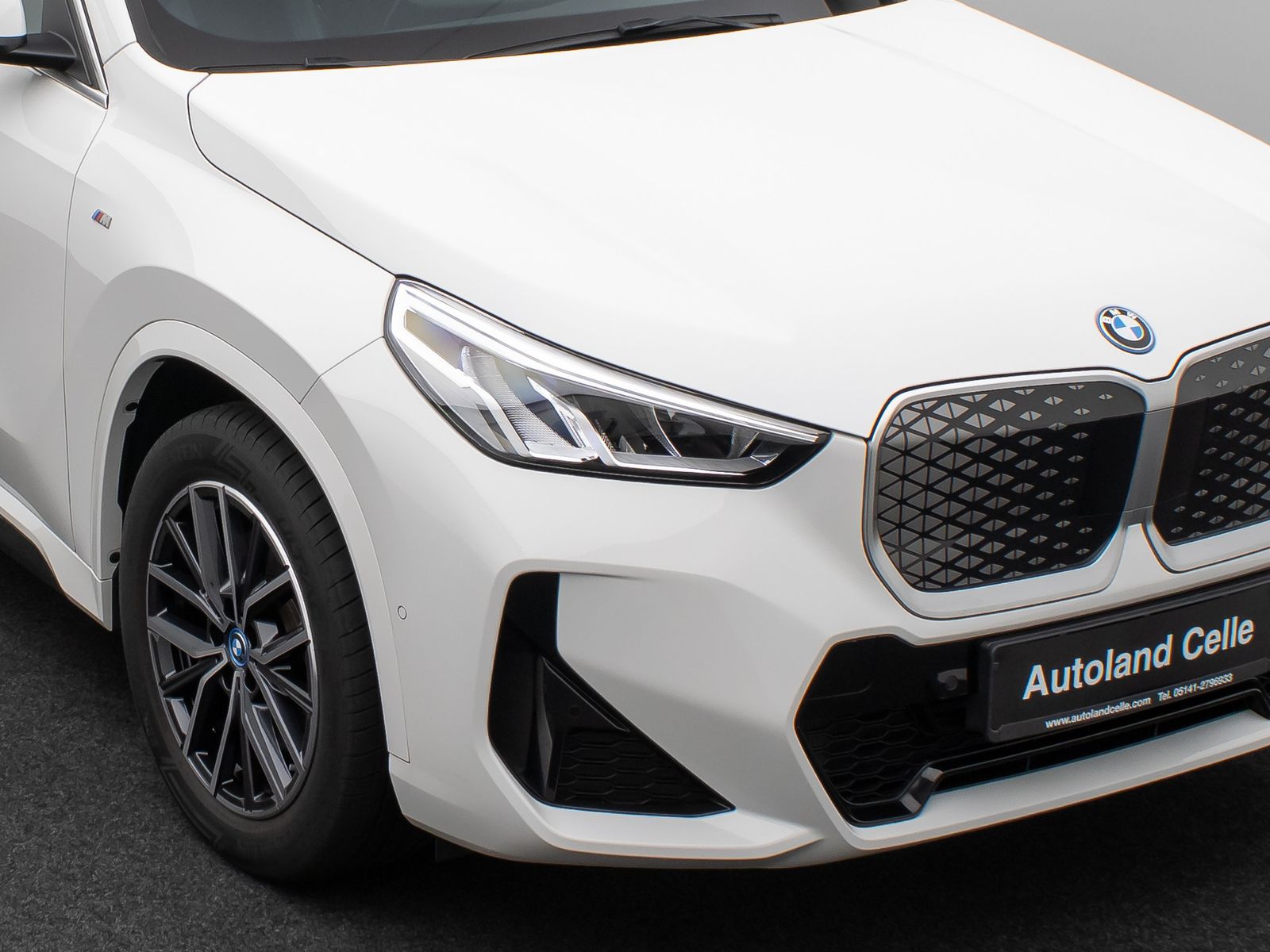Fahrzeugabbildung BMW iX1 xD30  M Sport Kamera DAB Fernlichtassist AHK