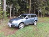 Subaru Forester 2.0X Trend Trend - Subaru Forester aus 2008: X
