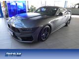 Ford Mustang 5.0 Ti-VCT V8 Dark Horse Fastback Recaro - Ford Mustang Jahreswagen
