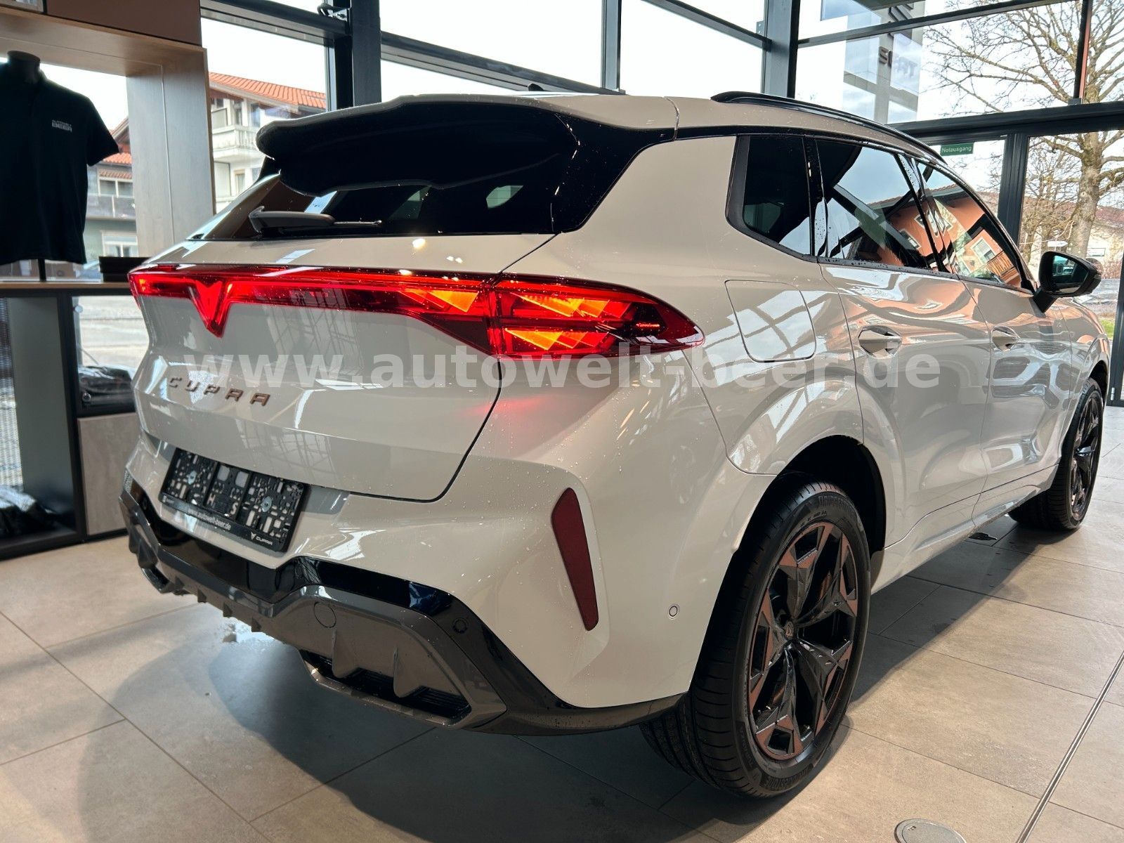 Cupra Terramar - Bild 3