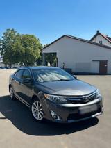 Toyota Camry XLE - Toyota Camry mit Benzin-Antrieb