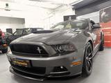 Ford Mustang 5.0/ V8 GT/Shelby/Einzelstück/Mod.2015 - : Sportwagen