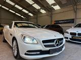 Mercedes-Benz SLK 250 SLK Roadster SLK 250 CDI BlueEfficiency - Mercedes-Benz SLK 250: Cdi