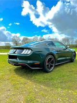Ford Mustang Bullitt/Recaro/Sammlerzustand. - Ford Mustang: Bullit