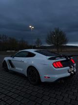 Ford Mustang,Manuell,SHZ, 8fach Bereift, super optik - weiße Ford Mustang