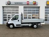 Fiat Ducato 35 140 L2 Pritsche,AHK,Navi4JahreGarantie - Offers matching your search criteria