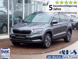 Skoda Karoq DSG Smart Link Kamera Navi AHK - Skoda Karoq