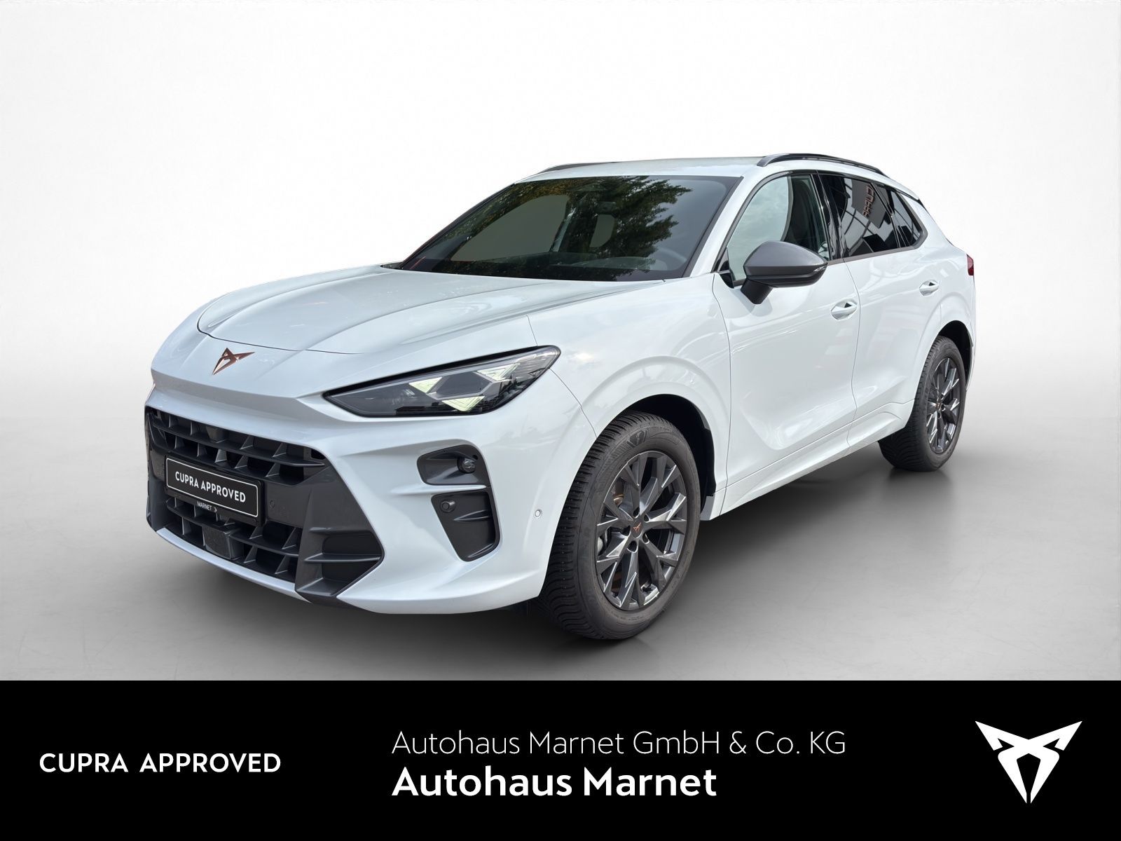 Cupra Terramar 1.5 TSI DSG Navi*Kamera*Matrix*Keyless*