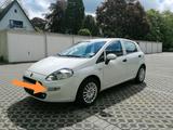 Fiat Punto 199, Baujahr 2016, top gepflegt - Fiat Punto: 199