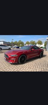 Ford Mustang 2.3 EcoBoost Auto -Unfallfrei,19 Zoll, - Ford Mustang: Ecoboost