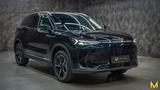 BAIC X75 inkl. Vollaus.+Konservierung+3JGarantie - BAIC: X75