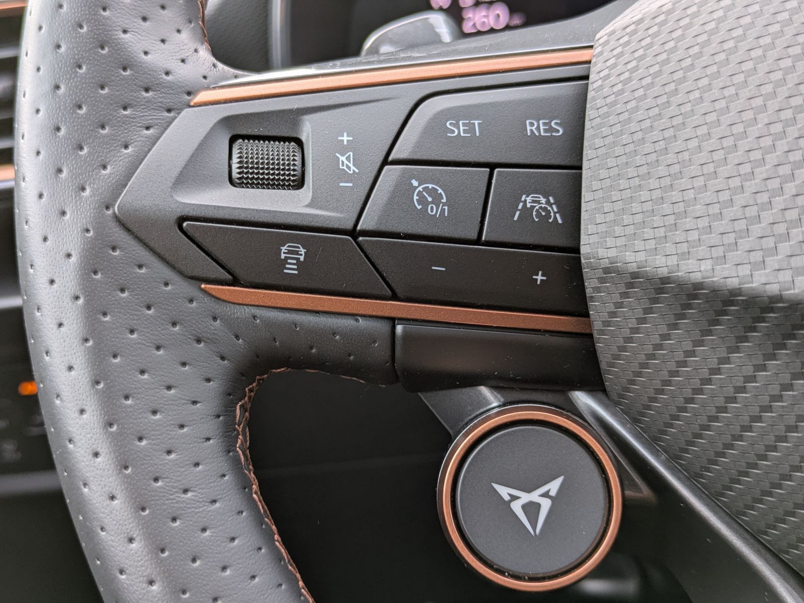 Fahrzeugabbildung CUPRA Leon VZ 2.0TSI 4Drive ACC*PANO*MATRIX*DCC*LM19"