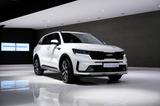 Kia Sorento Vision 4WD*LED*NAVI*LEDER*KAMERA*DAB* - Kia Sorento Gebrauchtwagen in Düsseldorf
