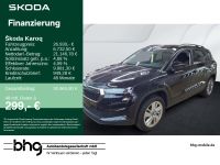 Skoda Karoq - Vorschau Bild 1