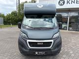 Peugeot Boxer MSG Pferdetransporter Stablehopper 3-Sitze - Tier-/Pferdetransport 3 pferde