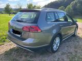 Volkswagen Golf 1.6 TDI 4MOTION BMT Alltrack Alltrack - Volkswagen Golf: Beige
