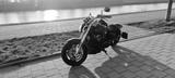 Kawasaki VN 1500 Meanstreak Spezial Umbau, optional Laut - KAWASAKI 150