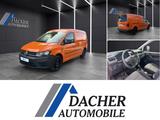 Volkswagen Caddy Maxi LKW 4Motion,DSG,SHZ,KLIMA,AHK, - Volkswagen Caddy mit Diesel-Antrieb: Standheizung