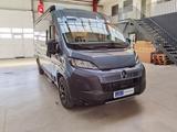 Karmann DAVIS 620 TRENDSTYLE / - 2026 -/ 140PS-AUTOMATIK - Karmann Diesel Kastenwagen Davis 620