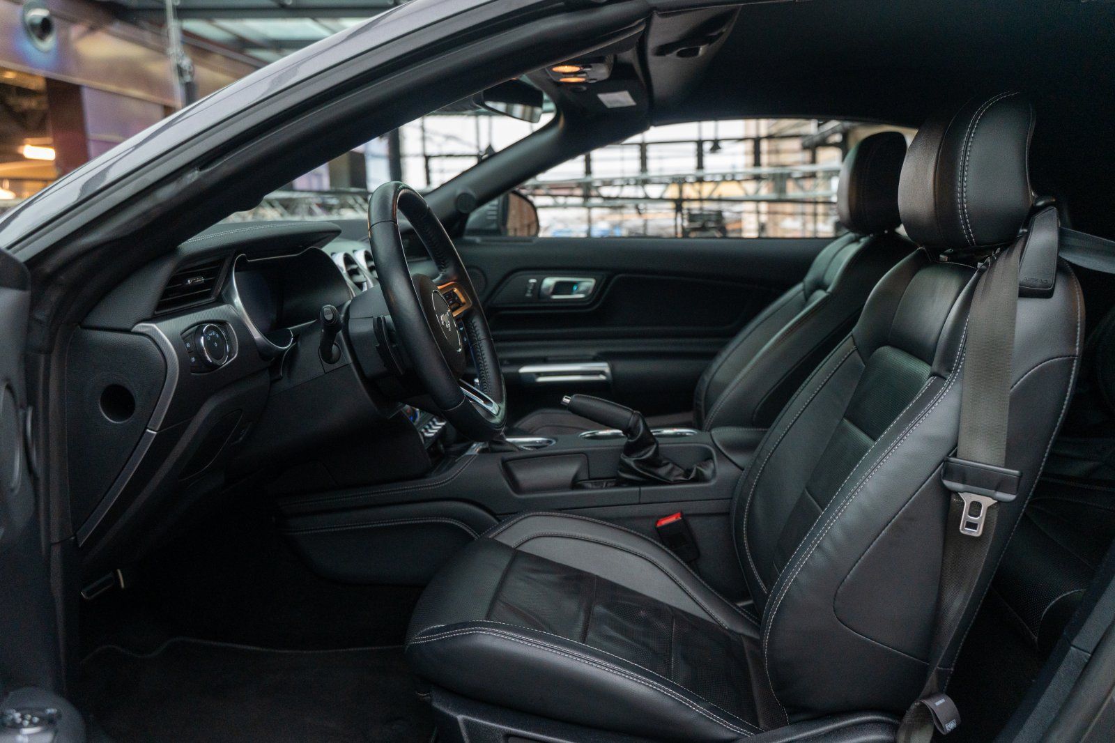 FORD Mustang (Mustang GT 5.0 Convertible COC/Navi/B&O/Sitzhzg)