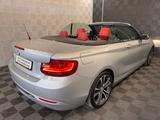 BMW 220d Cabrio*SPORT*BI XENON-HIFI-MEMORY-CONN.DR. - mit Diesel-Antrieb: Silber, Cabrio