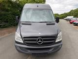 Mercedes-Benz Sprinter 316 CDI 1.Hand Maxi-Lang PDC  - Mercedes-Benz Sprinter: Maxi Lang