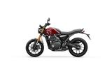 Triumph Speed 400 als Tageszulassung! - TRIUMPH T400