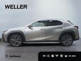 Lexus UX 250h F SPORT Design *Bi-LED*ACC*CAM*SHZ*PDC* - Lexus in Dortmund