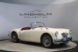 MGA Roadster - Nice! - MG MGA mit Benzin-Antrieb: Cabrio