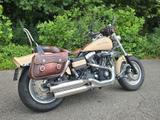 Harley-Davidson Dyna Fat Bob FXDF mit Dr. Jekill&Mr. Hyde-Anl. - HARLEY-DAVIDSON BOB DYNA FAT