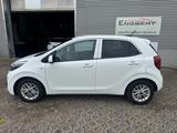 Kia Picanto 1,0L Vision*AWR*Klima*Sitzheizung*5T* - gebrauchte Kia Picanto aus dem Jahr 2023