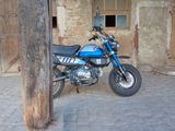 Honda Monkey 125 / Modell 2022 - Offers matching your search criteria